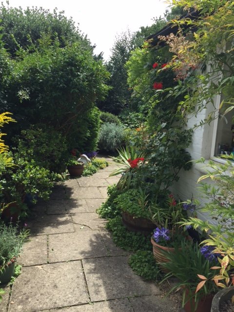 The garden at Heywoods bed and breakfast